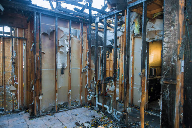 Professional Smoke Damage Removal technician working in Pistakee Highlands, IL
